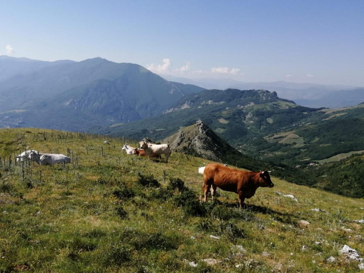 Case Mastro Renzo Tour Naturalistico Enogastronomico Pescosansonesco Exteriér fotografie