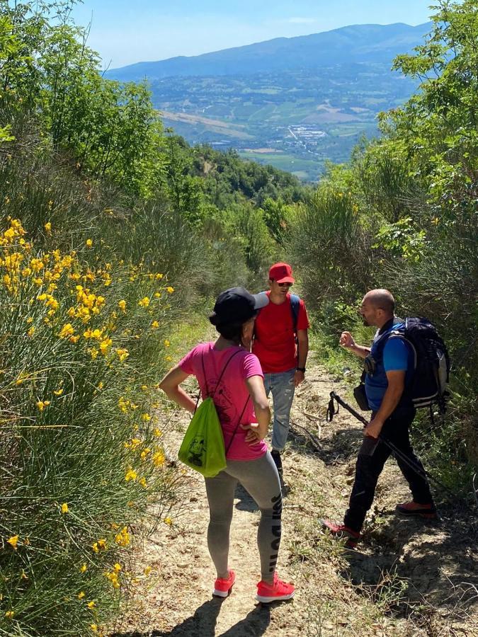 Case Mastro Renzo Tour Naturalistico Enogastronomico Pescosansonesco Exteriér fotografie